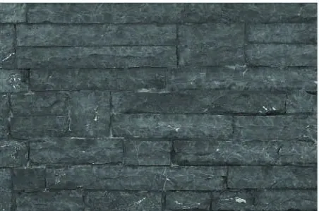 Bahama Black Ledge Stone