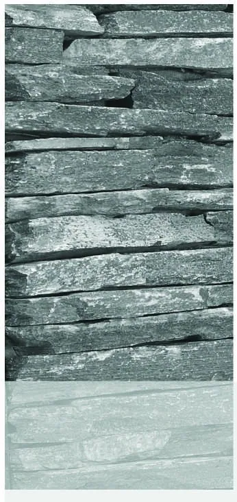 Atlantic Blue Micro Ledge, close detail