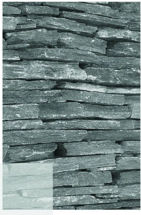 Atlantic Blue Micro Ledge, close detail