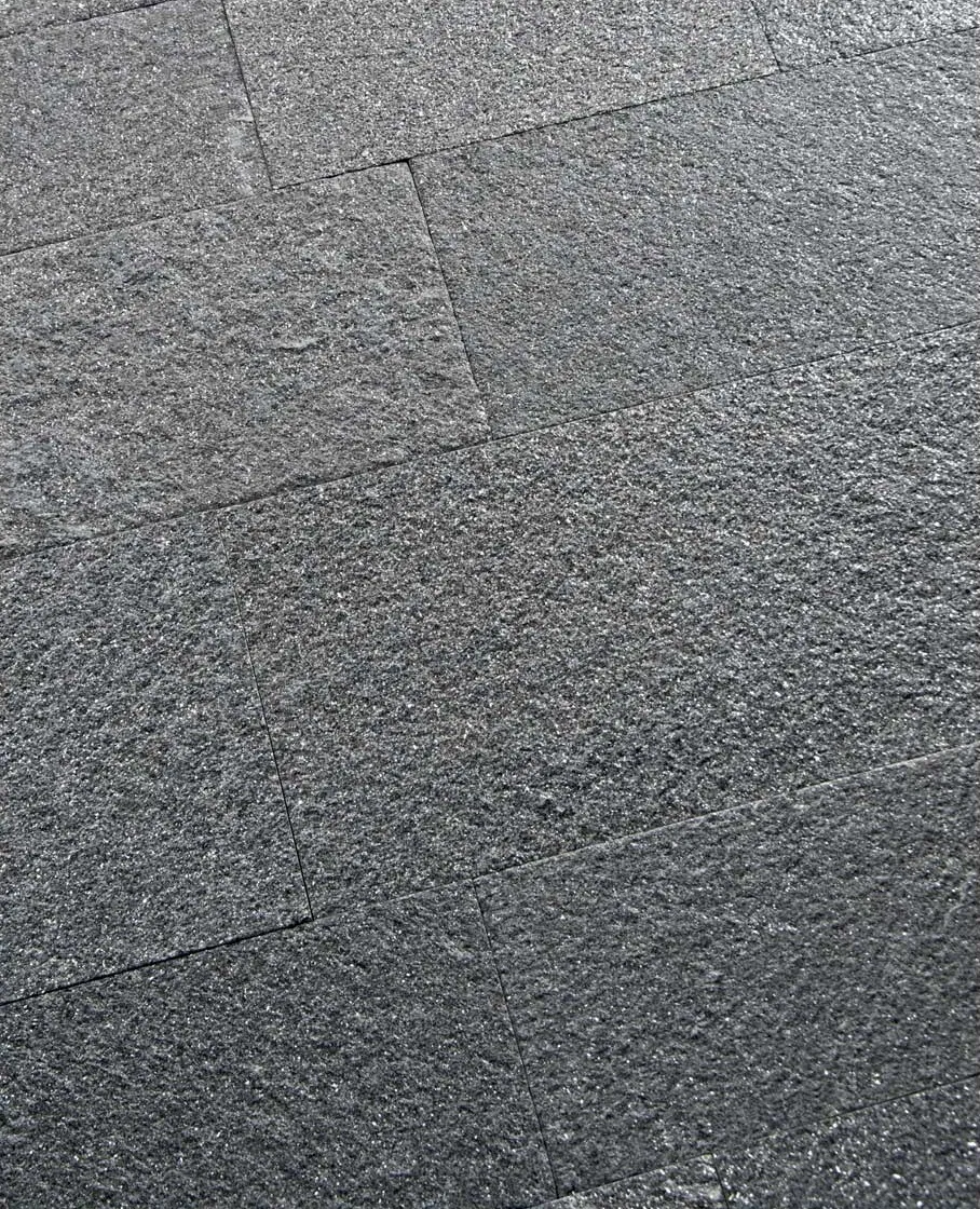 Black Galaxy Quartzite Flamed Light Brushed Old Floors