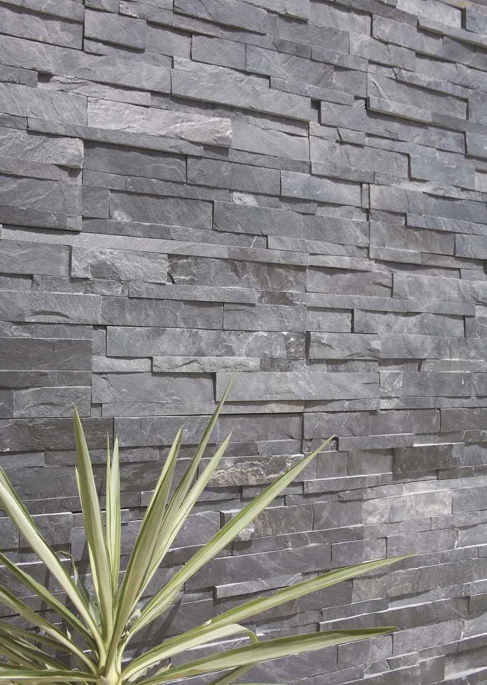 Tanzania Black natural stone